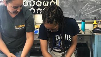 UC Davis Pre-College students practice removing horseshoes from a model of a horse leg.