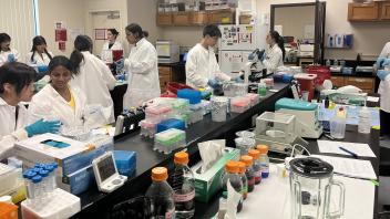 UC Davis pre-college students working at the bench in the Forensics lab