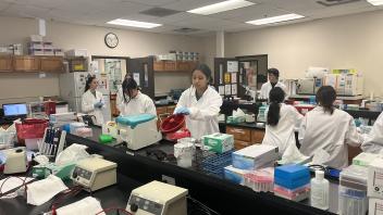 UC Davis Pre-College Program students working in the Forensics lab