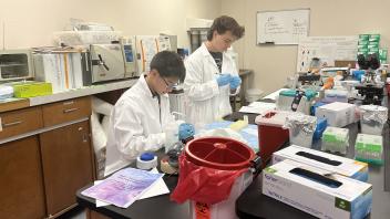 UC Davis Pre-College Program students working in the Forensic DNA lab