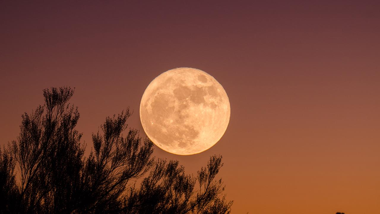 Earth and Moon. Courtesy of Ganapathy Kumar via Unsplash full moon in the sky