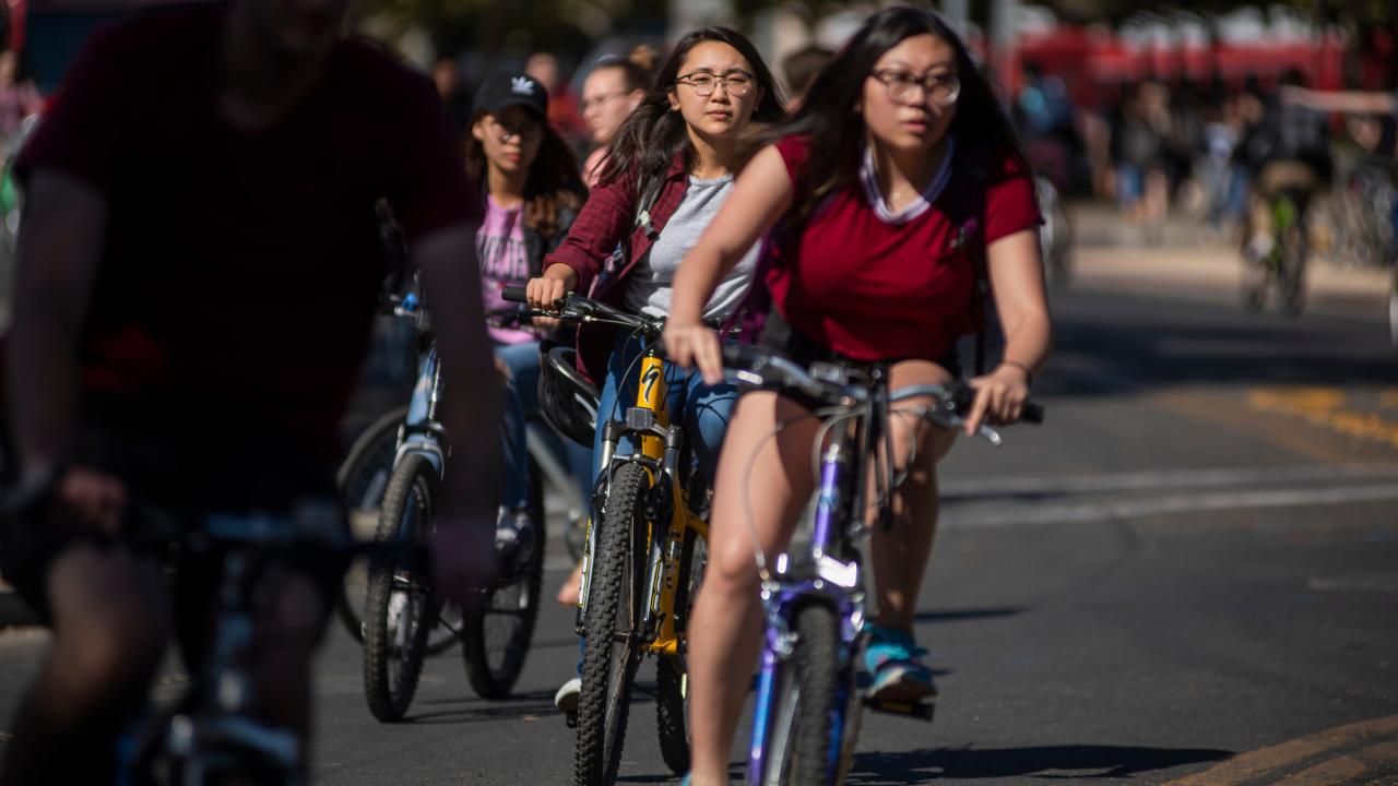 Students ride their bikes on Hutchison Drive at UC Davis