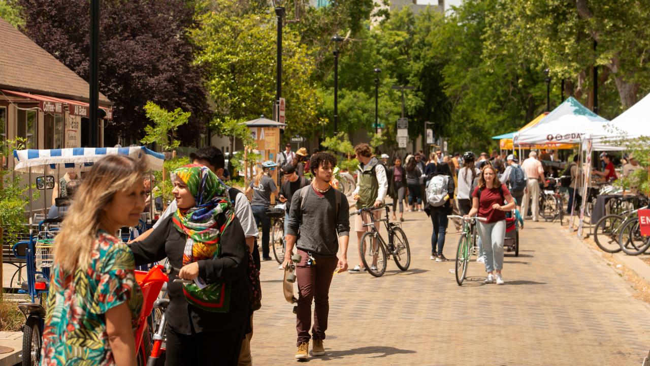 downtown Davis with students and bikes