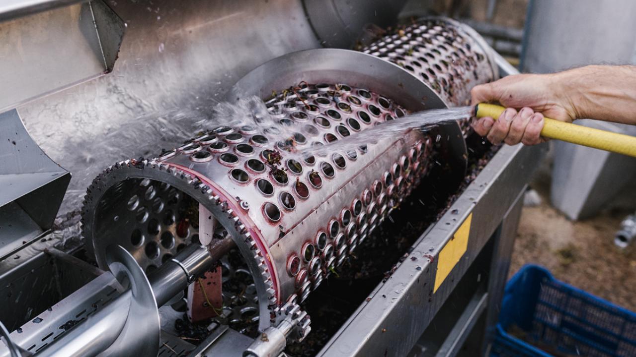 Hand of worker washing crushing machinery from hose at winery