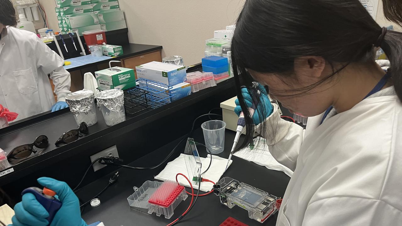 UC Davis Pre-College Program student pipetting in the Forensic lab