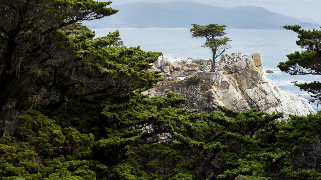 Monterey Bay