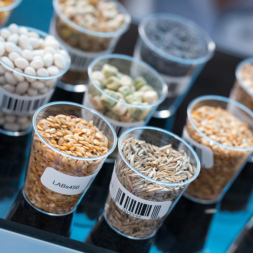 sample containers of various food items